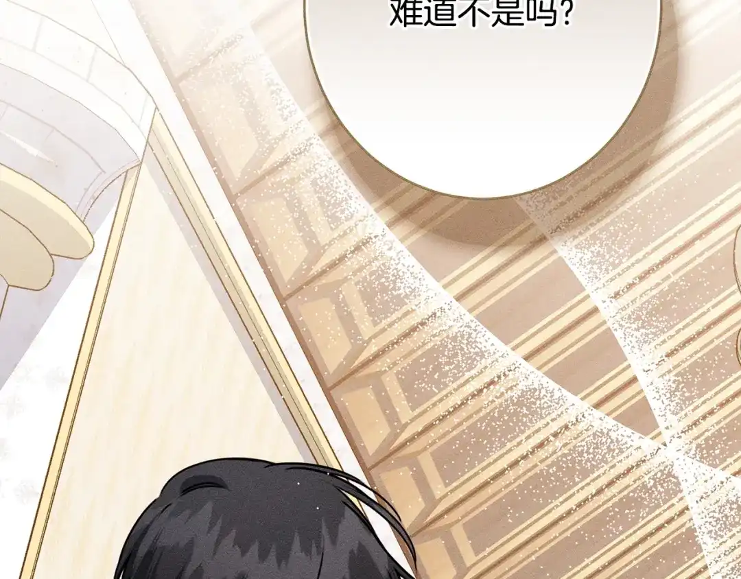 第217页
