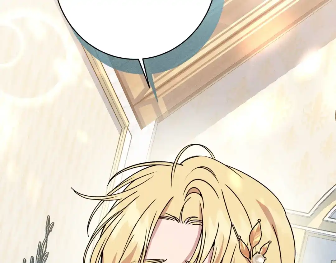 第223页