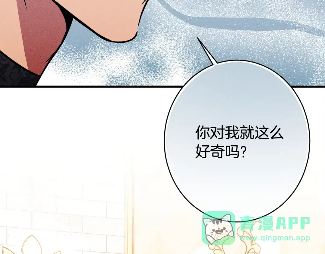 第236页