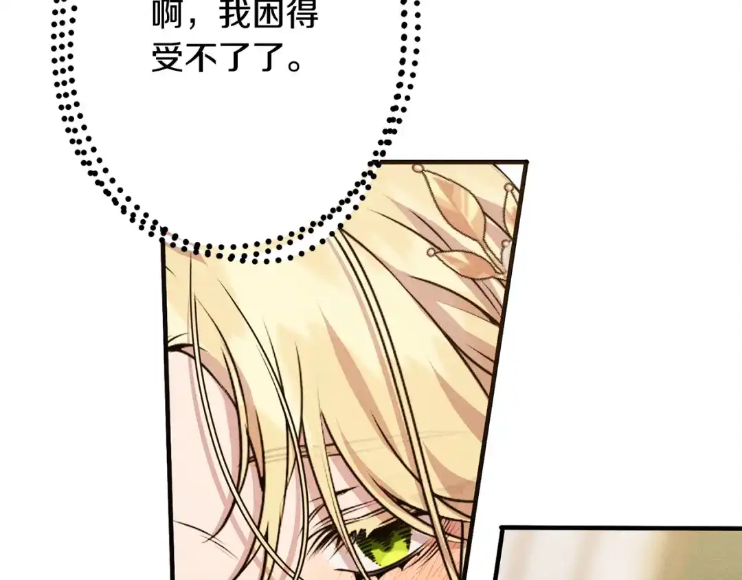 第245页