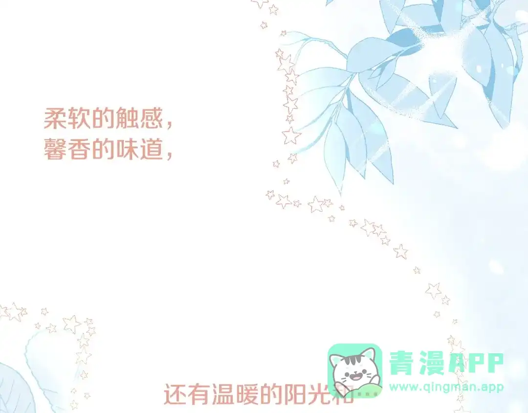第251页