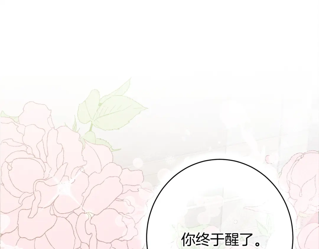 第262页