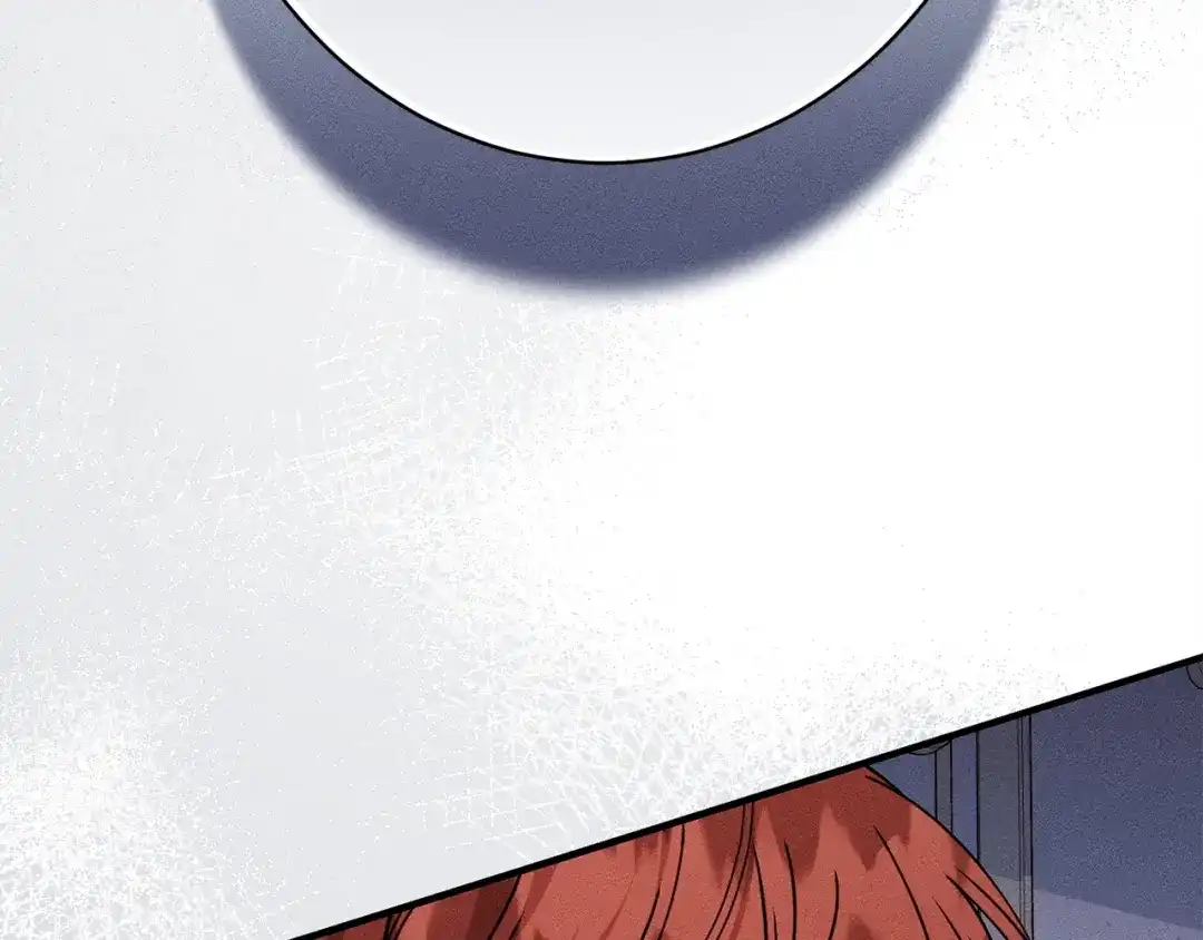 第223页