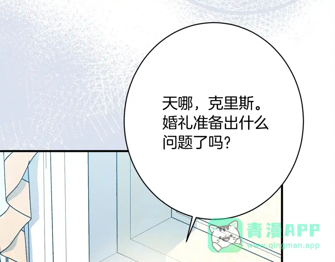 第246页