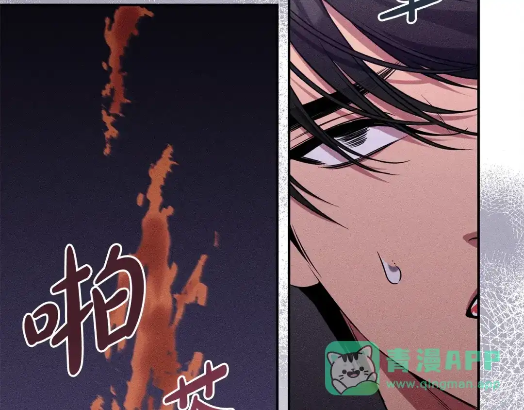 第206页