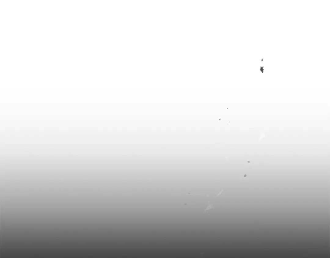 第213页