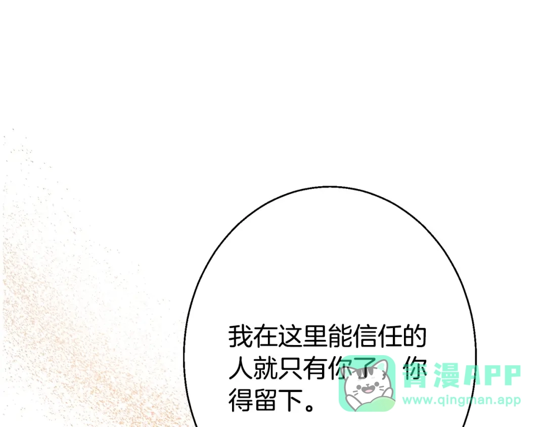 第241页