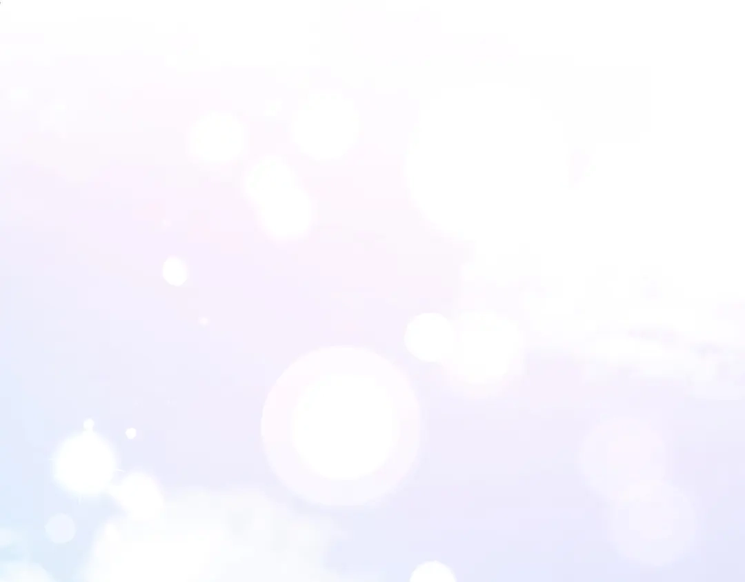 第248页