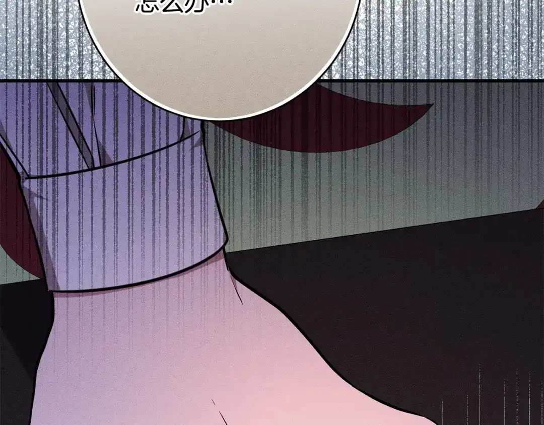 第213页
