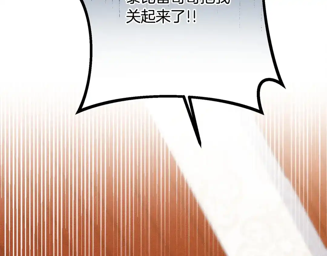 第217页