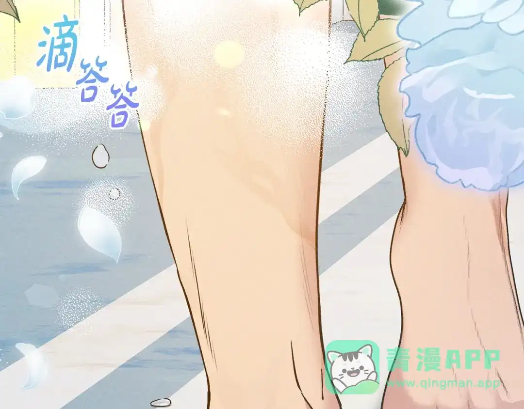 第236页