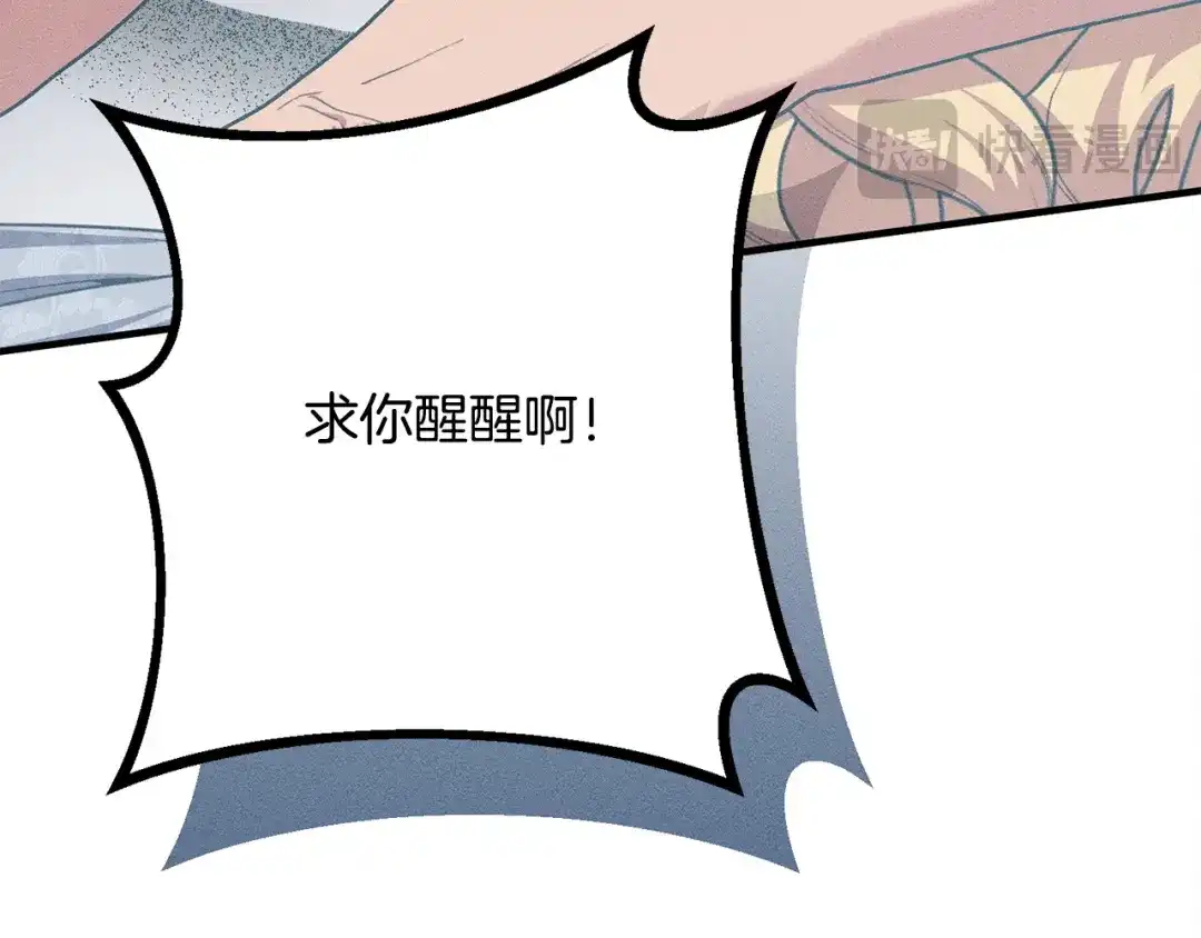 第204页
