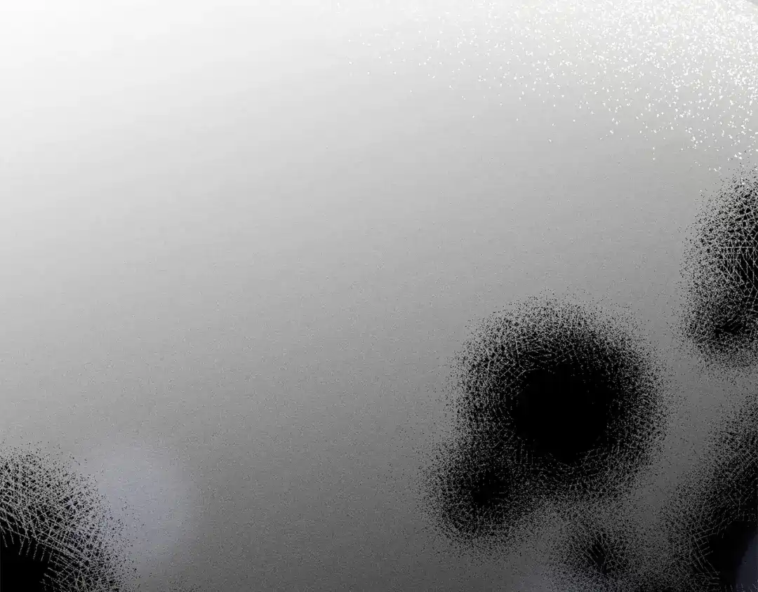第218页