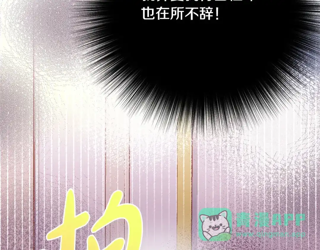 第231页
