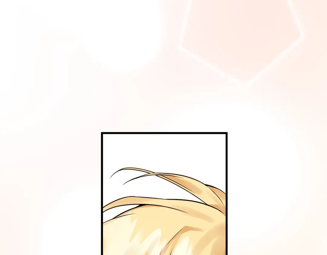 第224页