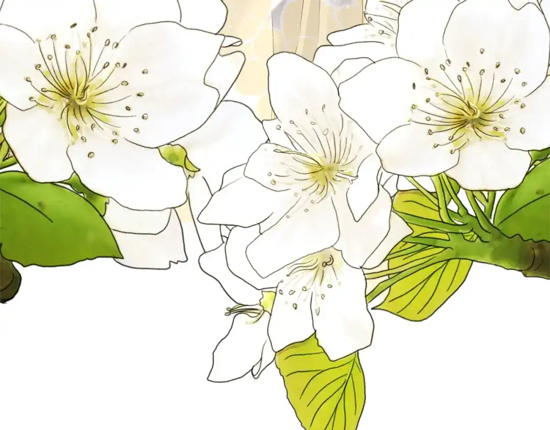 第160页