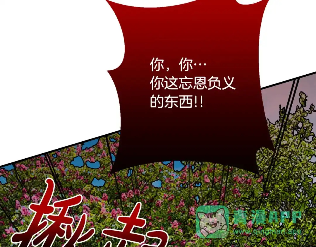 第206页