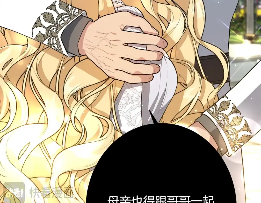 第217页
