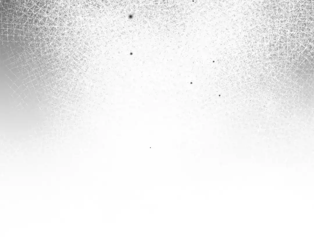 第239页