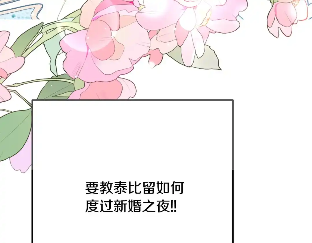 第244页