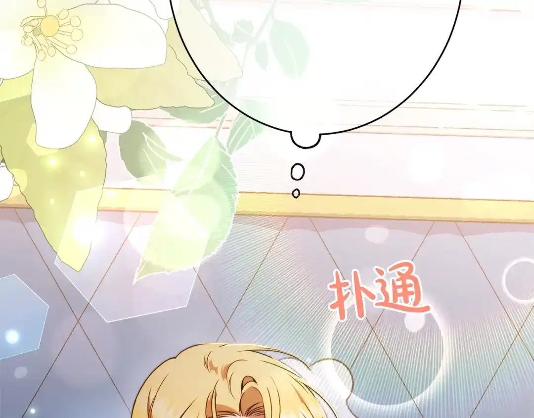 第234页