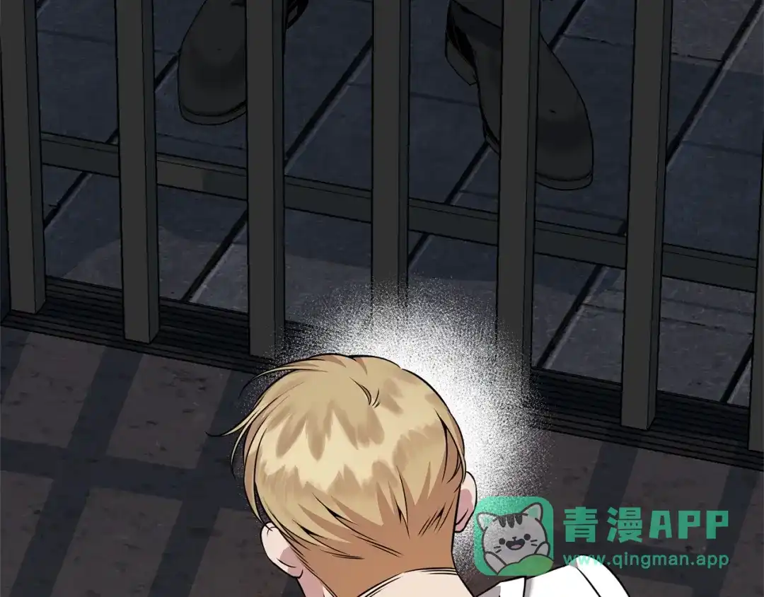 第221页