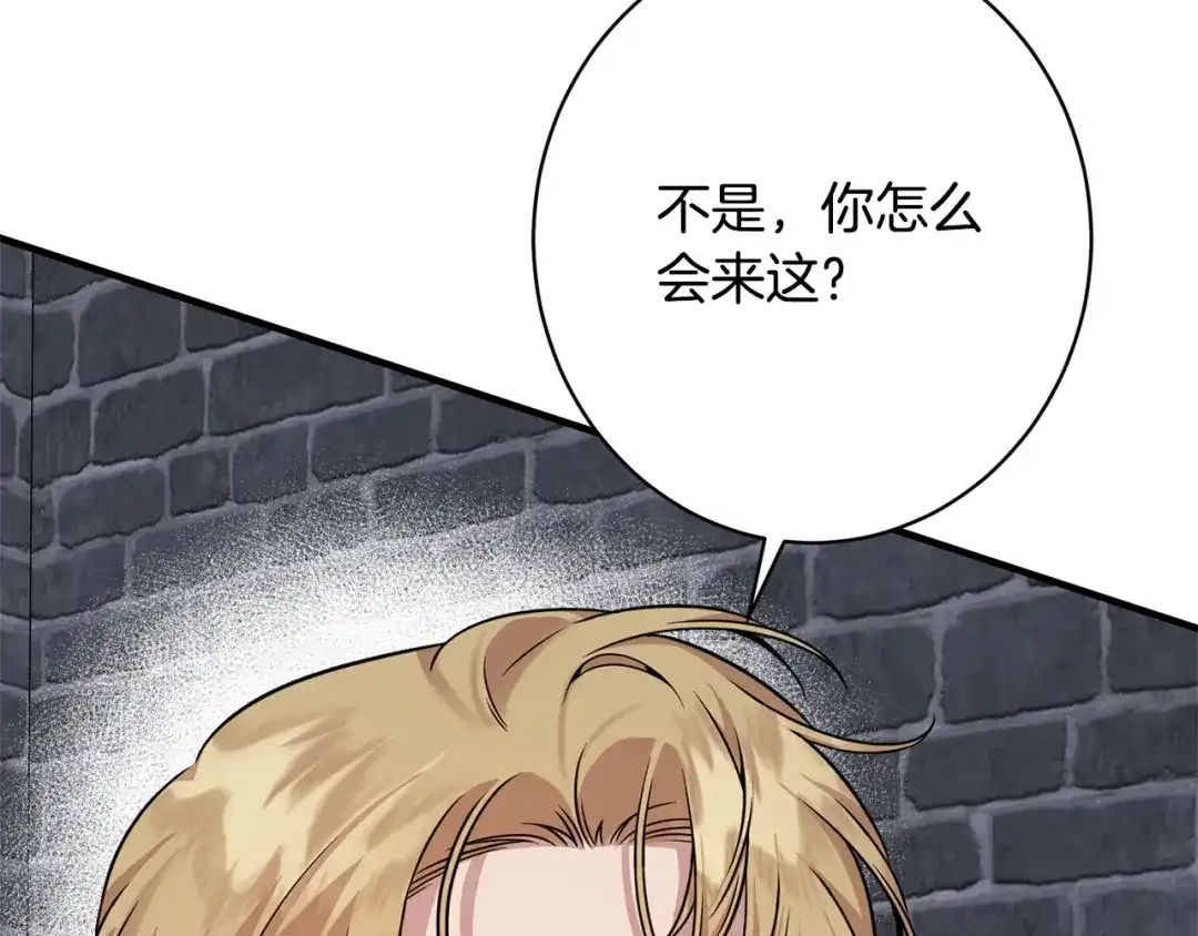 第224页