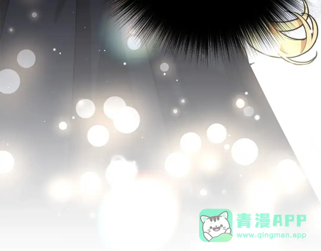 第231页