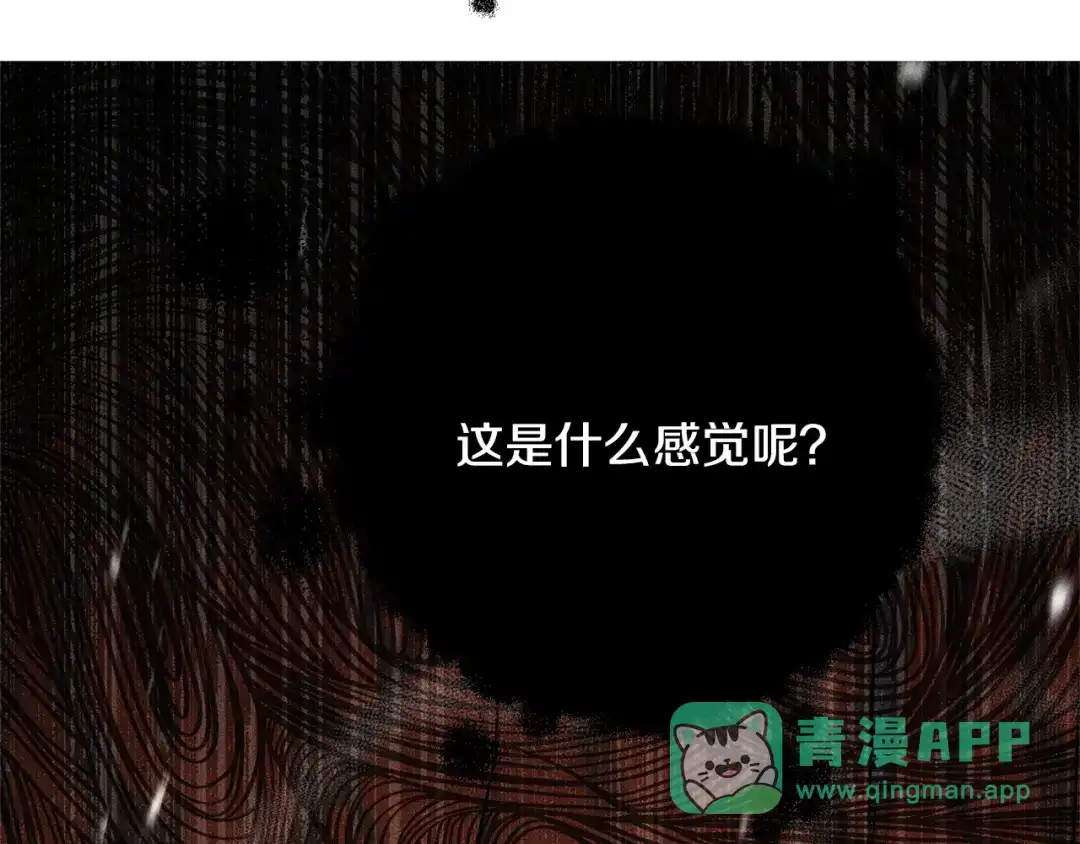 第206页