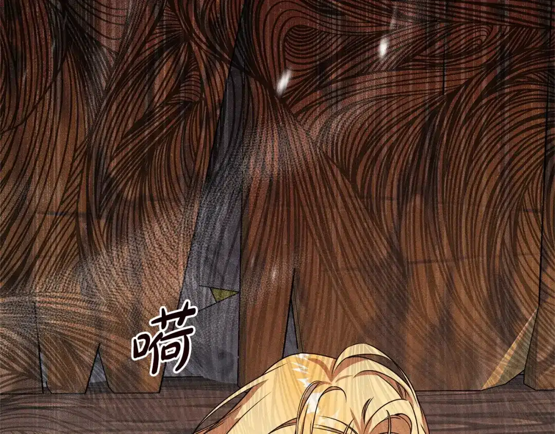 第207页