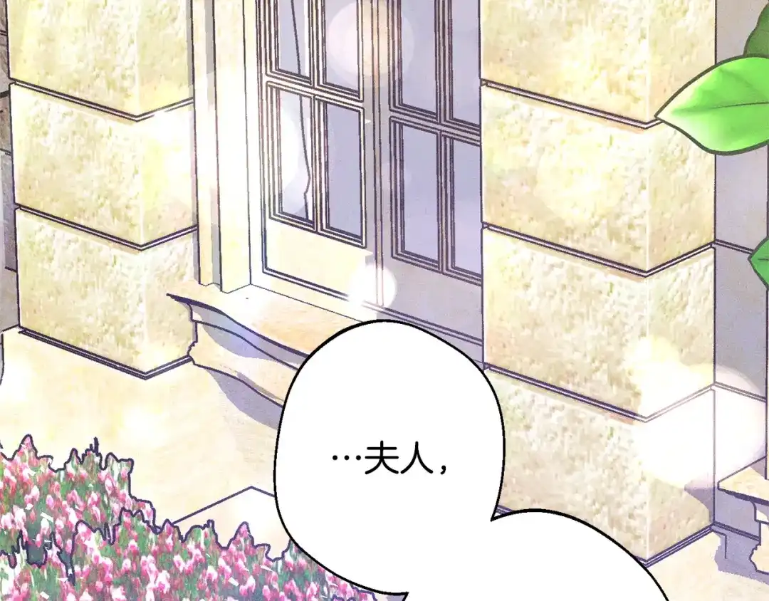 第245页