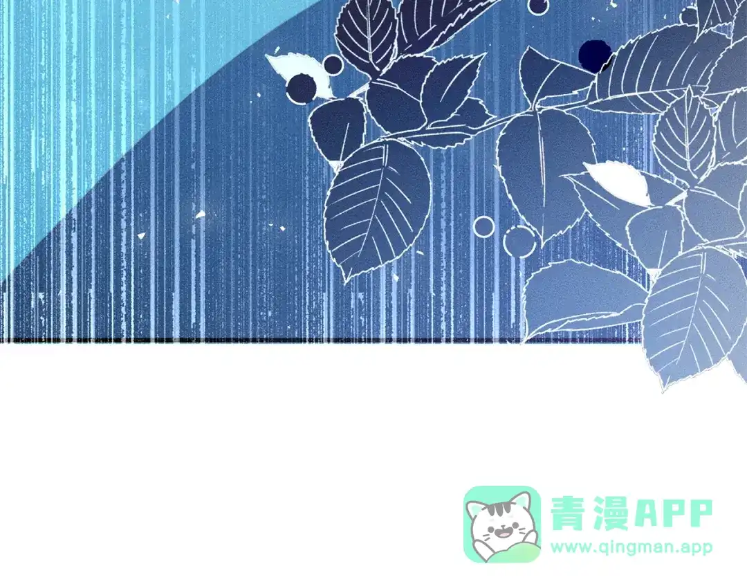 第271页
