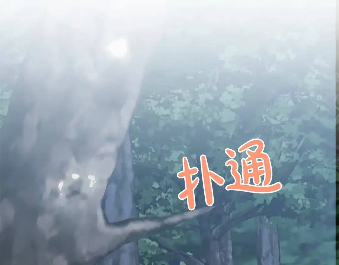 第204页
