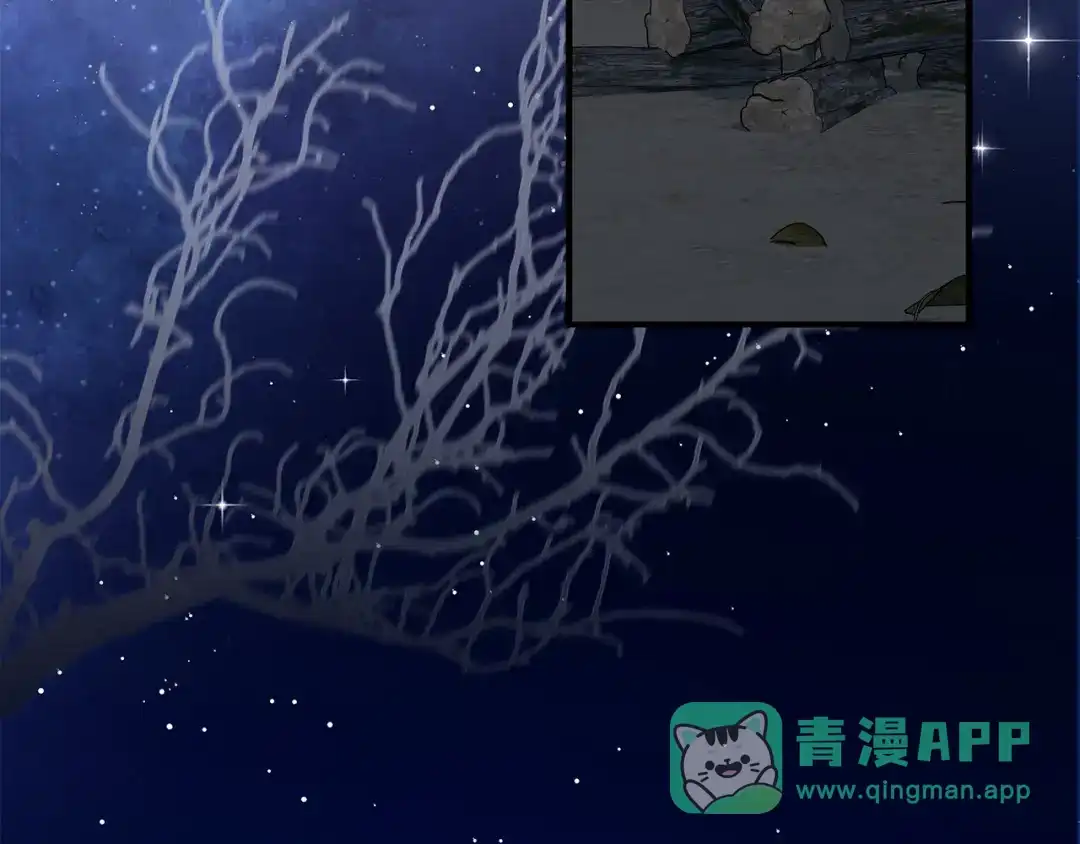 第191页