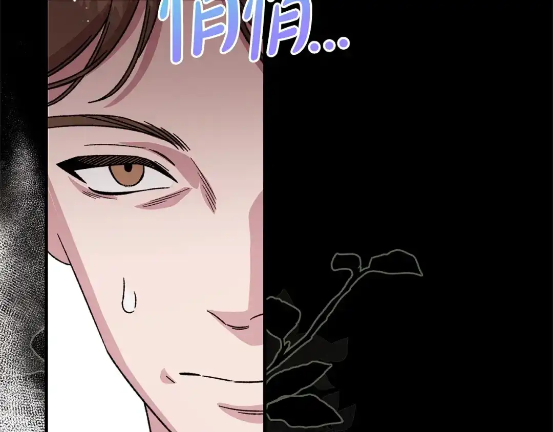 第213页
