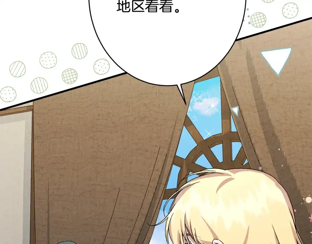 第204页