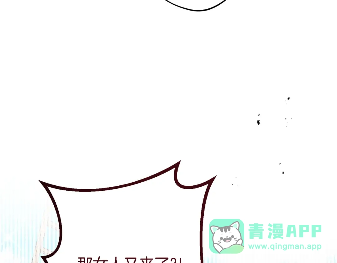 第206页