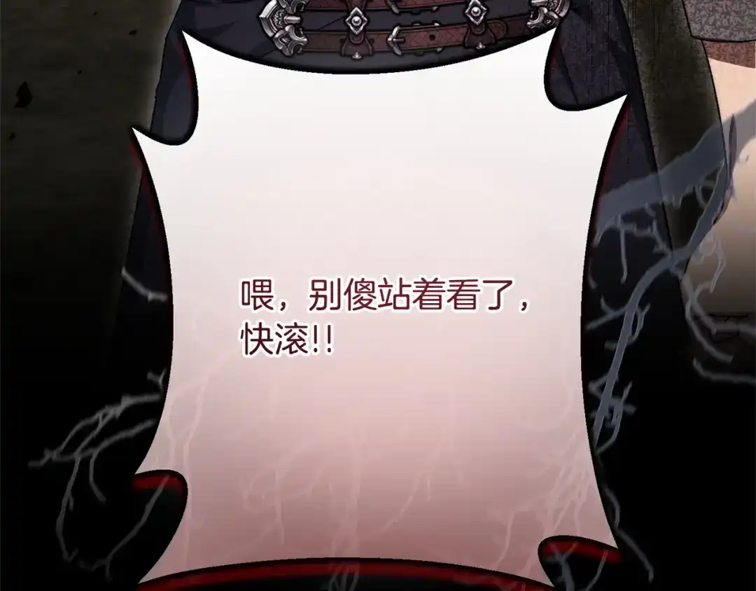 第223页
