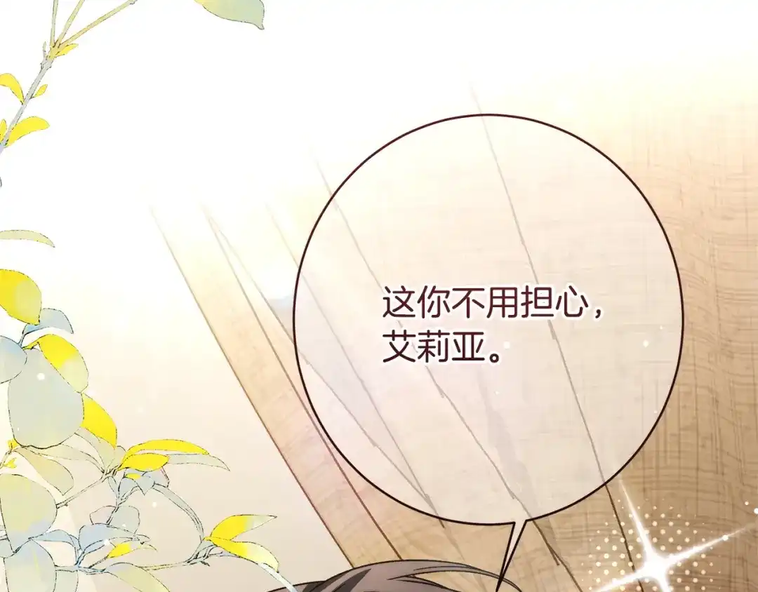 第217页