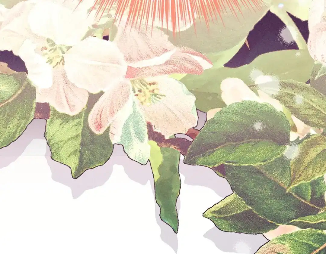 第244页