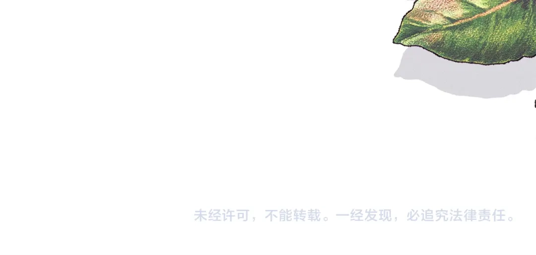 第245页