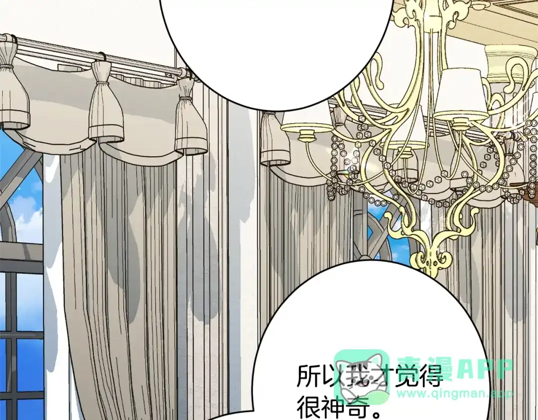 第196页