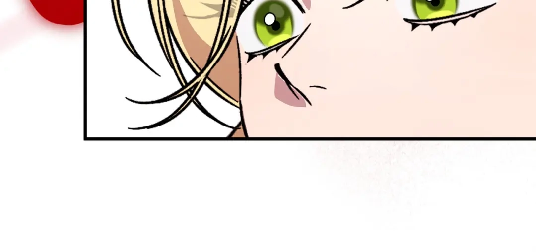 第223页