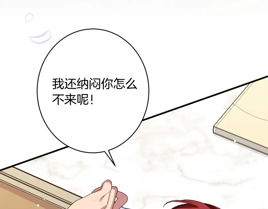 第204页