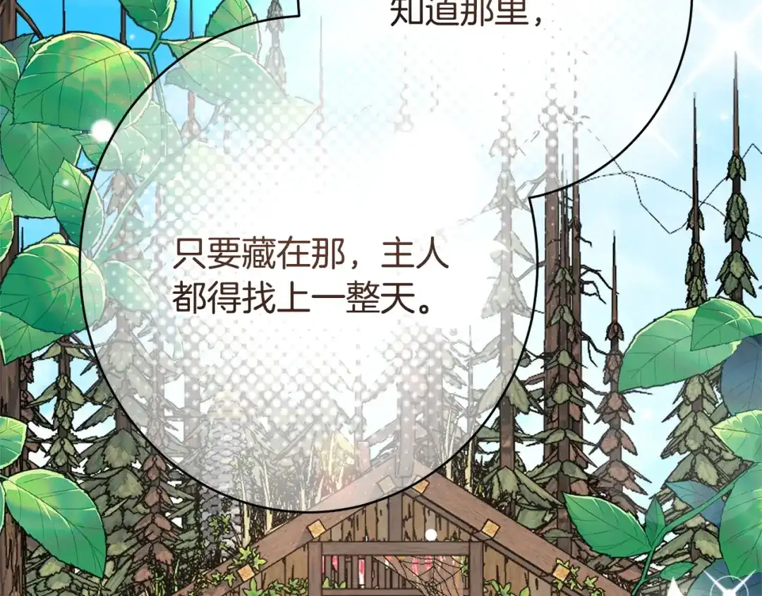 第185页