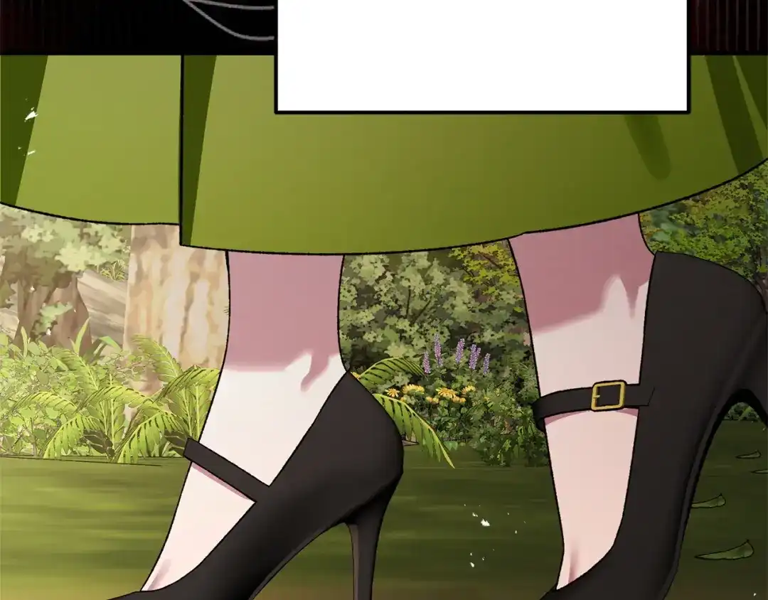 第204页