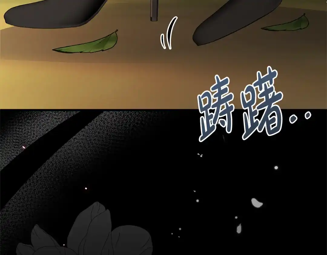 第205页