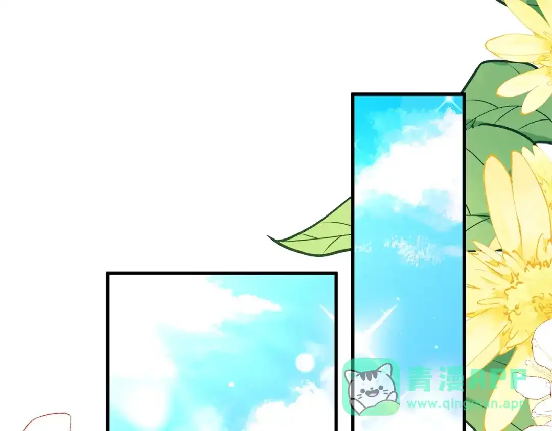 第216页