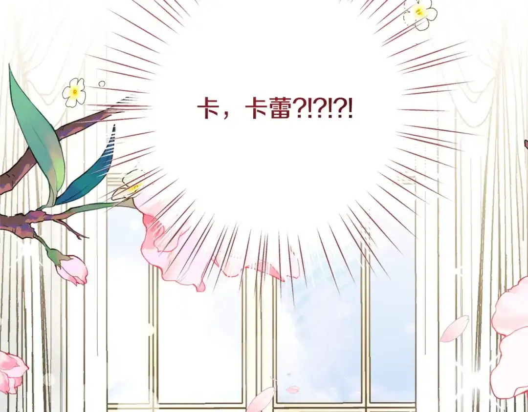 第223页