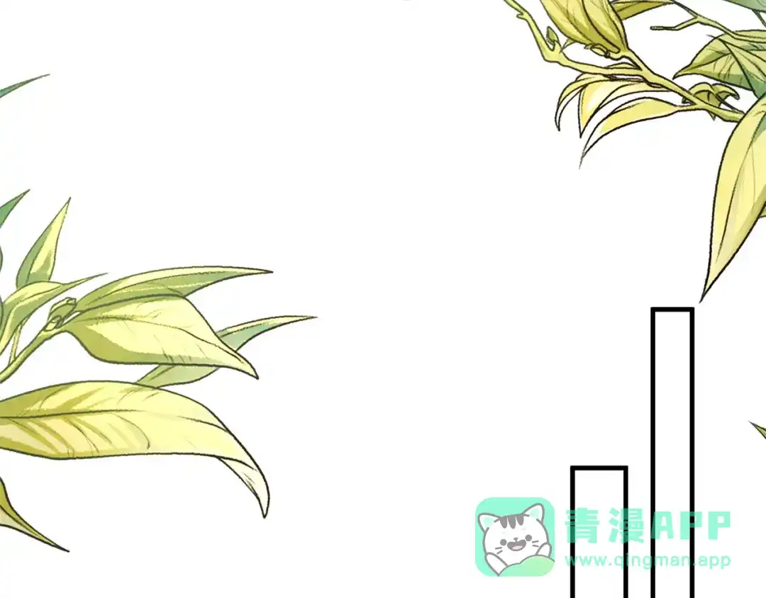 第196页